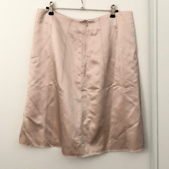 Chaiken Pastel Pink A-Line Silk Skirt - Picture 5 of 10